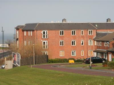 Picture 2